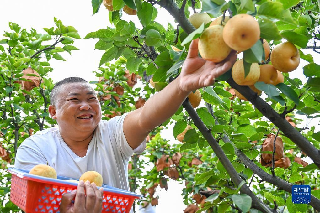 银河 下载